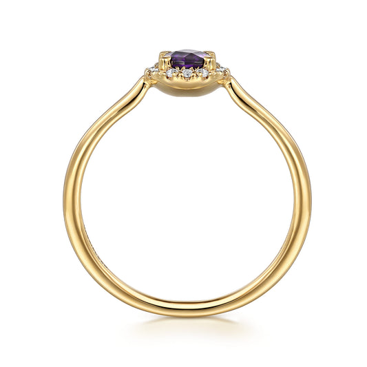 14K Yellow Gold Amethyst and Diamond Halo Promise Ring — Gabriel & Co. LR51264Y45AM