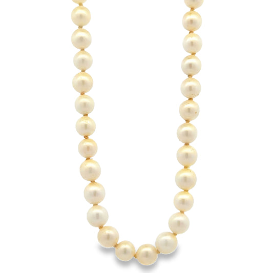 Mikimoto 18k Yellow Gold Akoya Pearl Strand Necklace 16" — right side three-quarter view