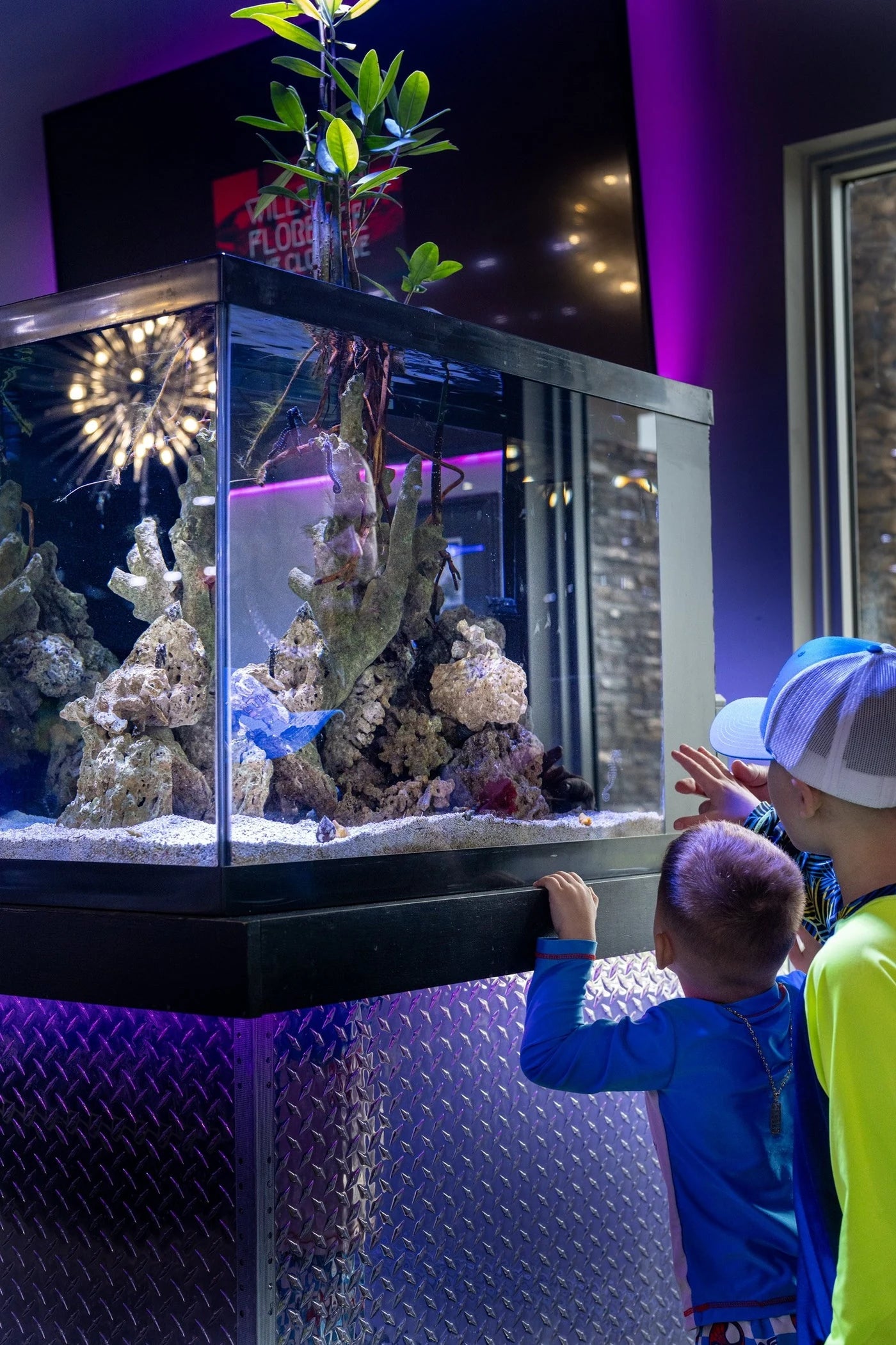 Visitors looking at an illuminated aquarium tank in the showroom