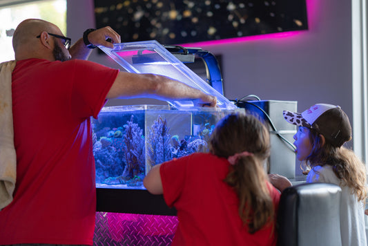 An adult and children looking into an aquarium.