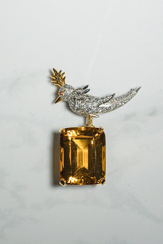 Elegance in Design: The Tiffany & Co. 'Bird on a Rock' Brooch - Diamonds by Raymond Lee