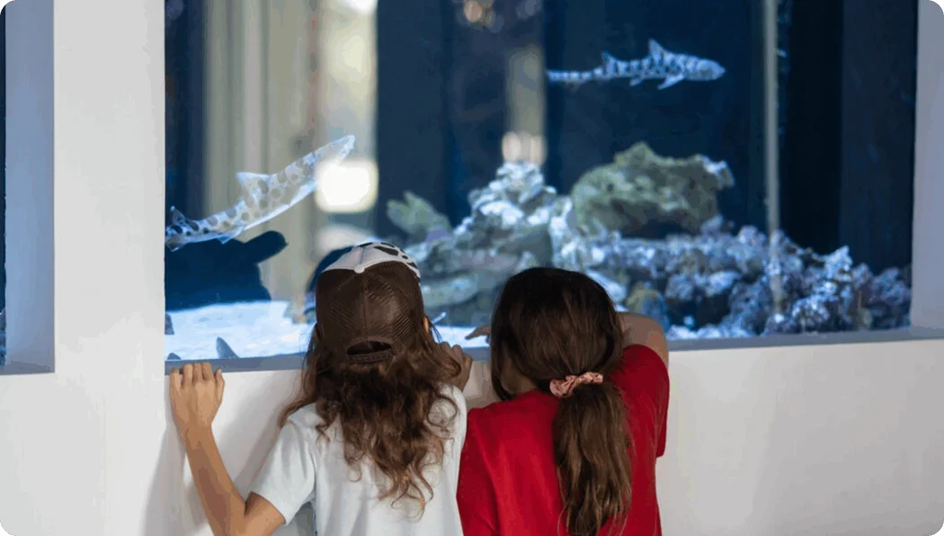 Beyond the Glass: How Aquarium Visits Inspire Curiosity and Learning in Children