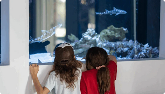 Children watching sharks in an aquarium. Archive photograph; the shark exhibit is currently closed.