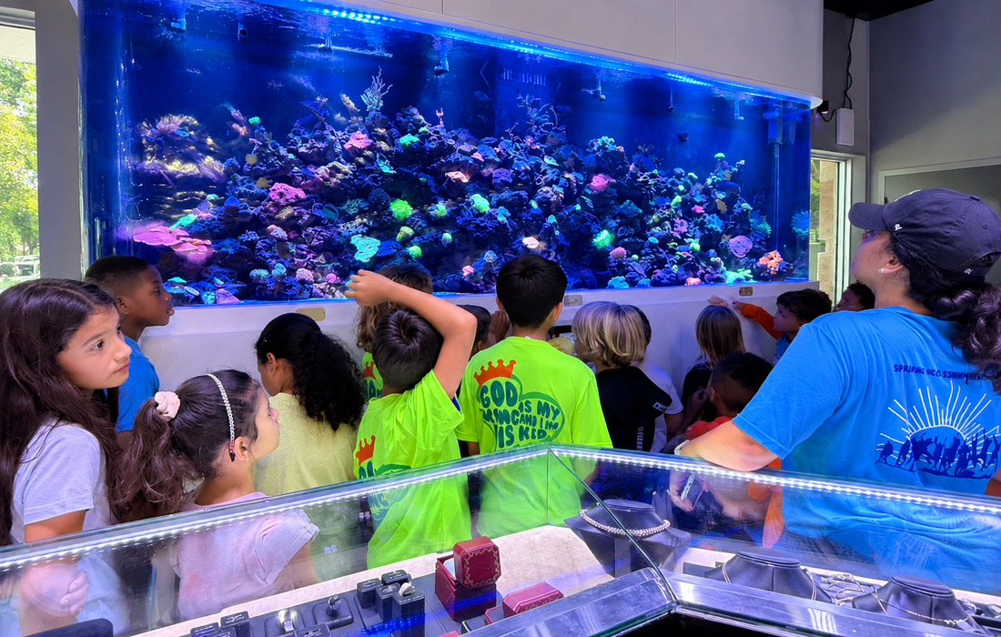 Children watching a reef aquarium.