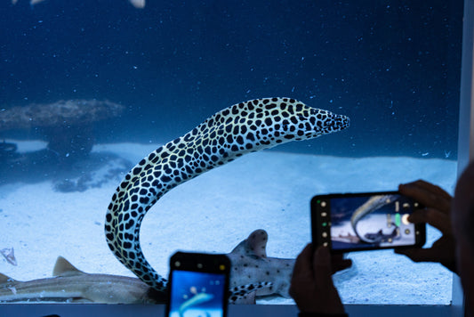 Why Small Attractions Can Create Bigger Memories Than Large Destinations