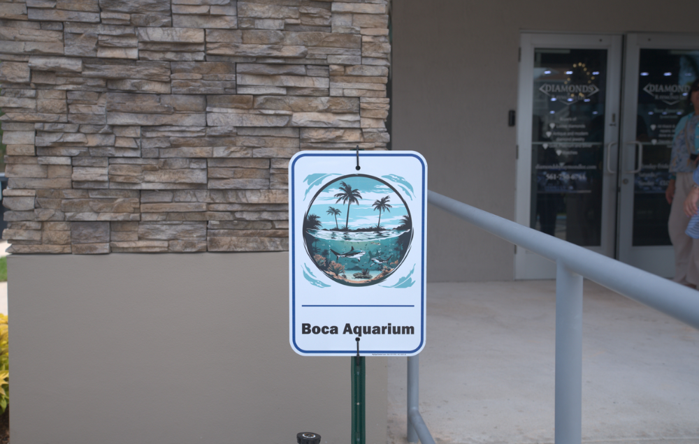 Boca Aquarium: The Unexpected Experience Inside Diamonds by Raymond Lee