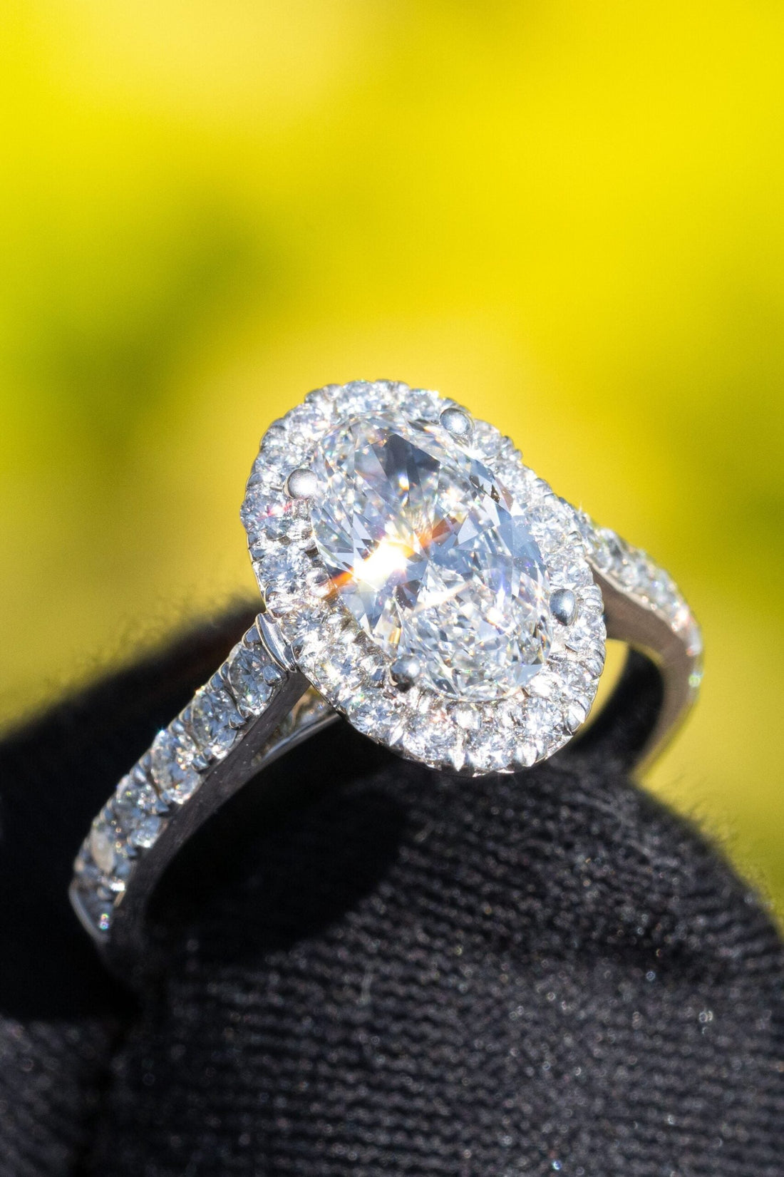 Oval-cut diamond engagement ring with a halo setting and pavé band, held against a bright, blurred yellow-green background.