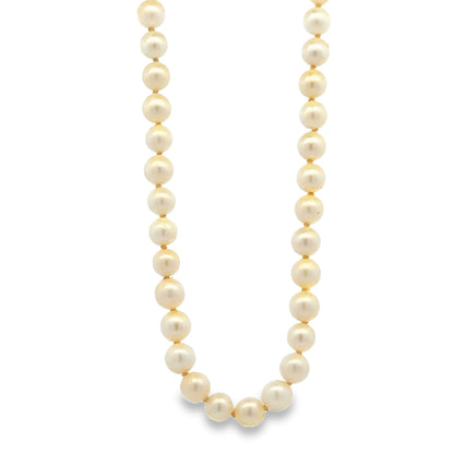Mikimoto 18k Yellow Gold Akoya Pearl Strand Necklace 16" — left side three-quarter view