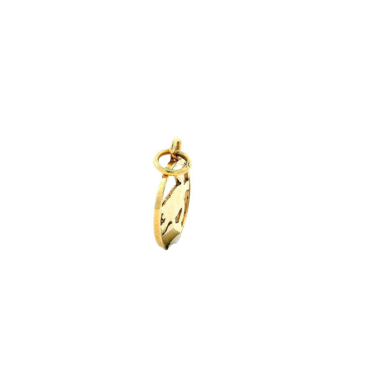 14k Yellow Gold Turtle Charm Pendant in Circular Frame — side profile