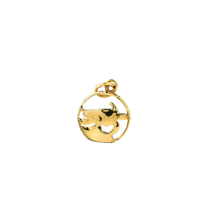 14k Yellow Gold Turtle Charm Pendant in Circular Frame — worn on a chain