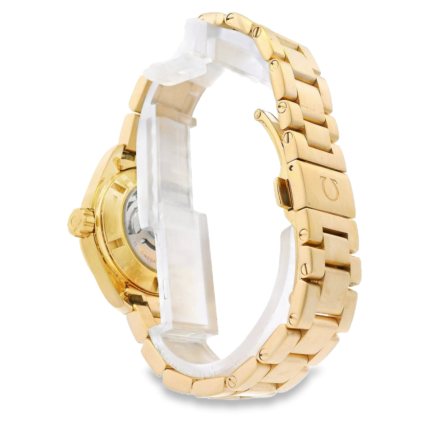 Omega 231.50.30.20.06.002 Seamaster Aqua Terra 30mm Grey Dial 18k Yellow Gold Watch — worn on the wrist