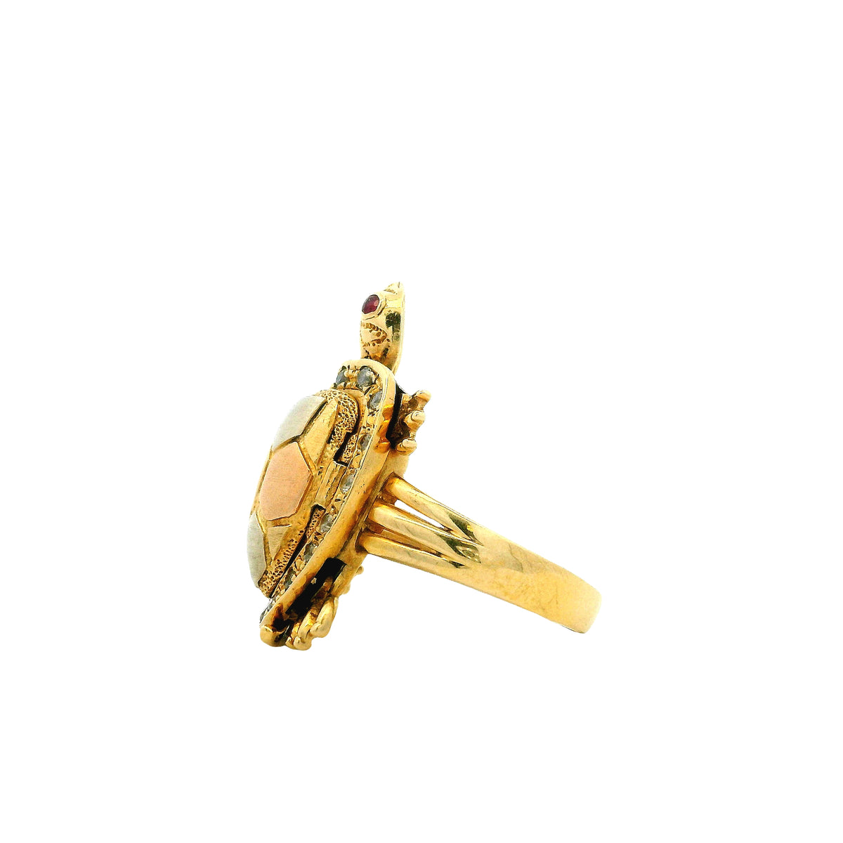 14k Yellow Gold Turtle Hinged Shell Cocktail Ring — worn on the finger