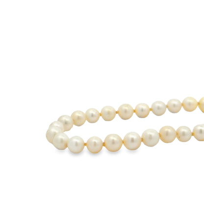Mikimoto 18k Yellow Gold Akoya Pearl Strand Necklace 16" — worn on the wrist
