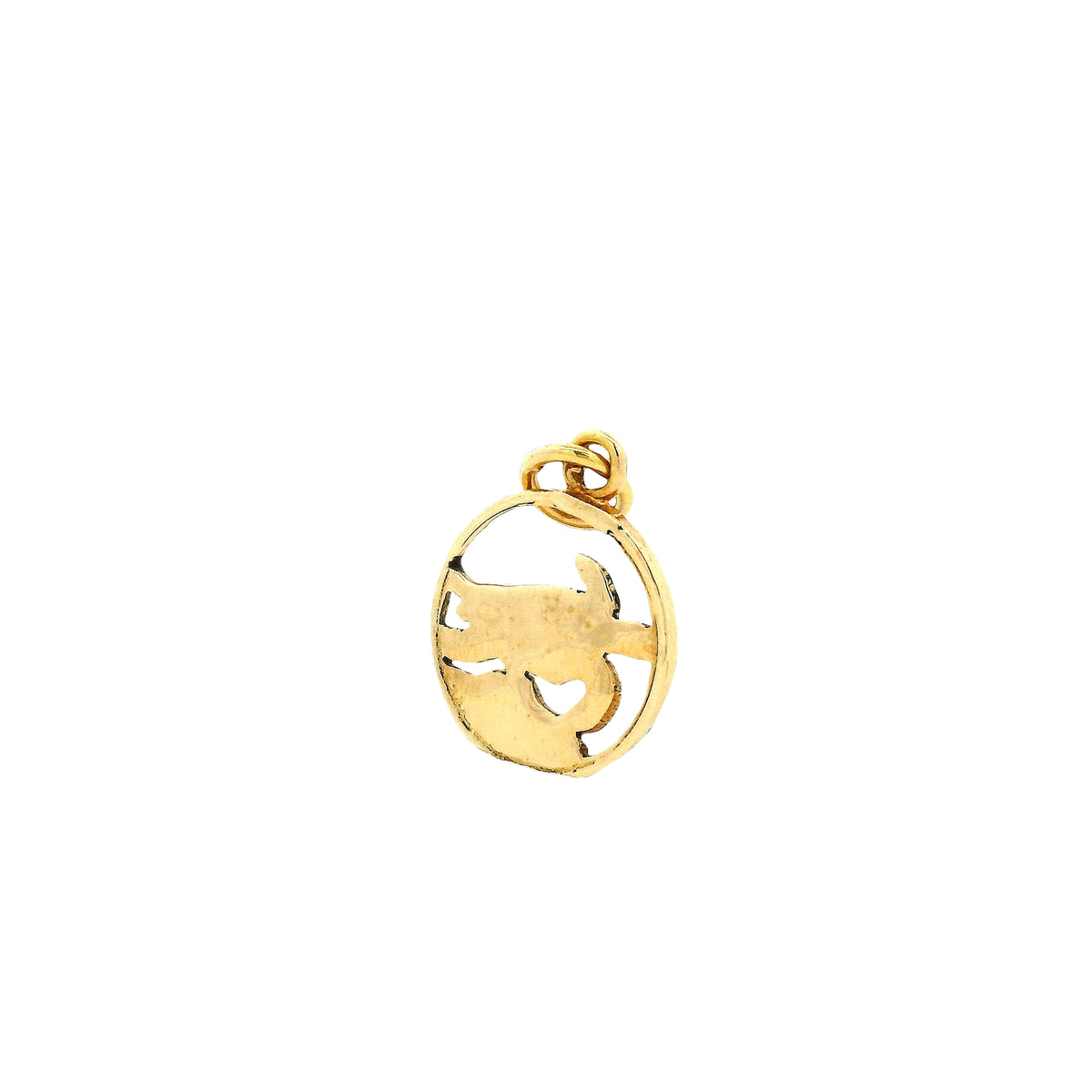 14k Yellow Gold Turtle Charm Pendant in Circular Frame — photo 8 of 10