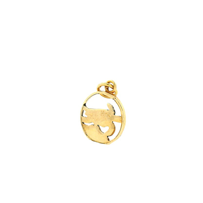14k Yellow Gold Turtle Charm Pendant in Circular Frame — photo 8 of 10