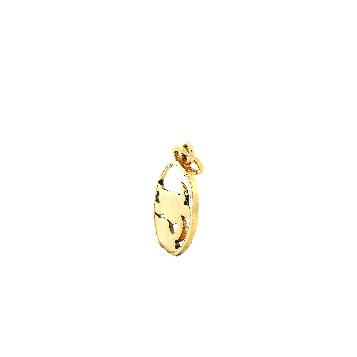 14k Yellow Gold Turtle Charm Pendant in Circular Frame — photo 9 of 10