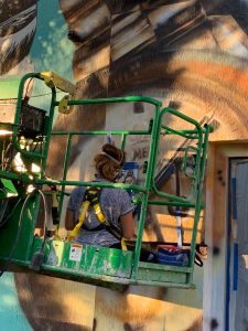 kristin pavlick diamonds by raymond lee mural