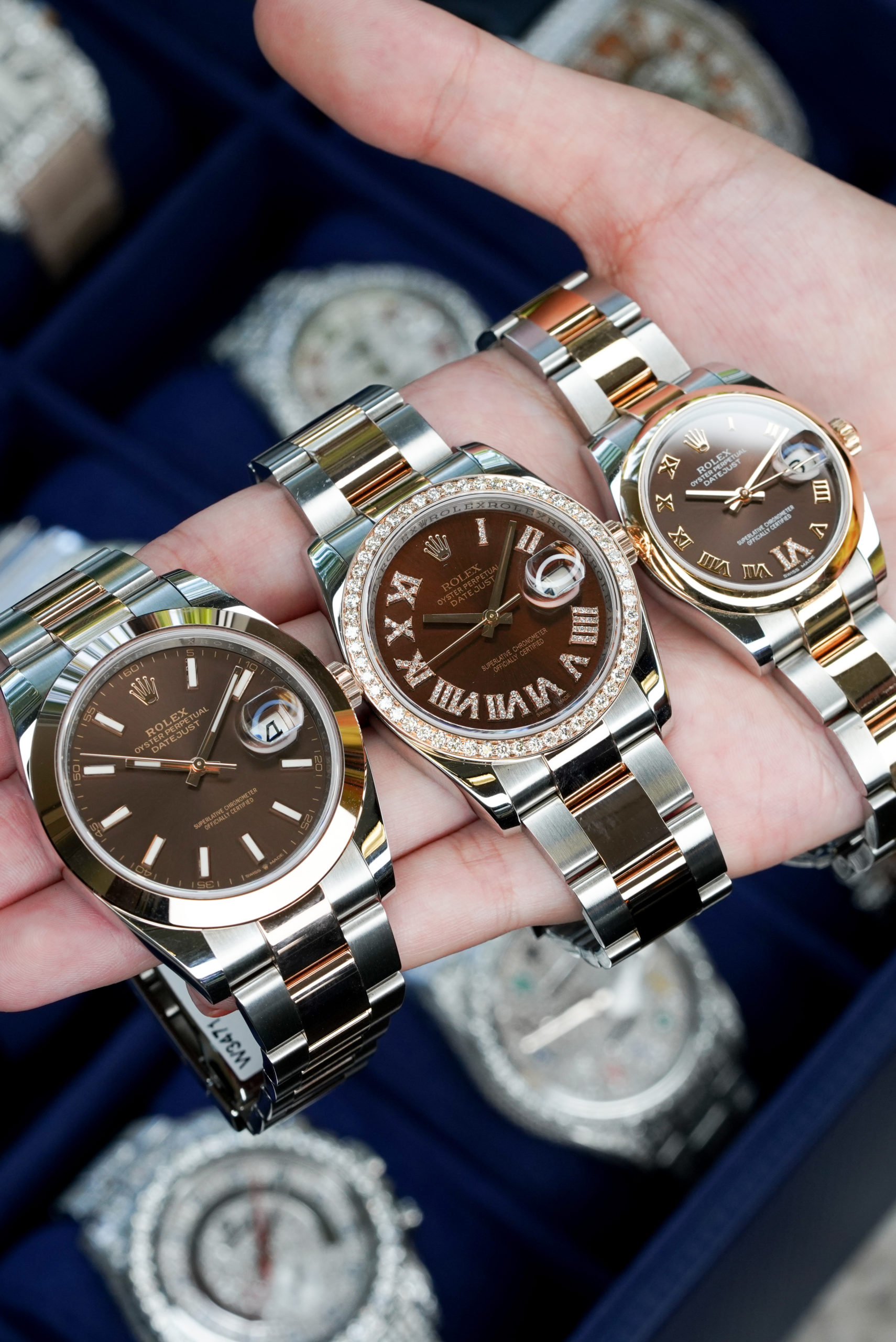 Famous rolexes hot sale