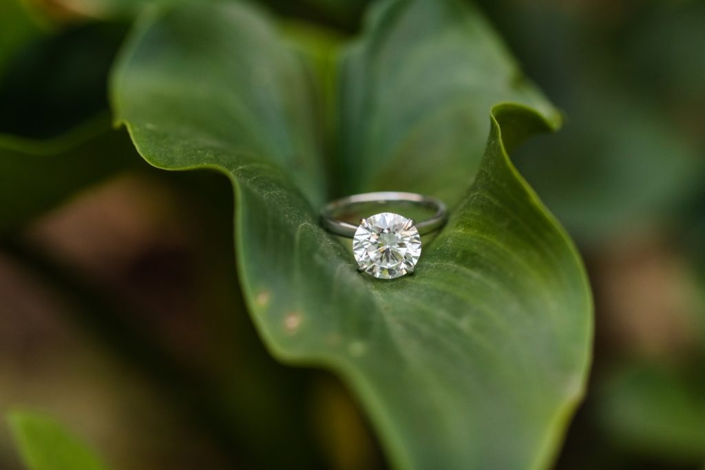 differences between round cut diamond and Moissanite. 