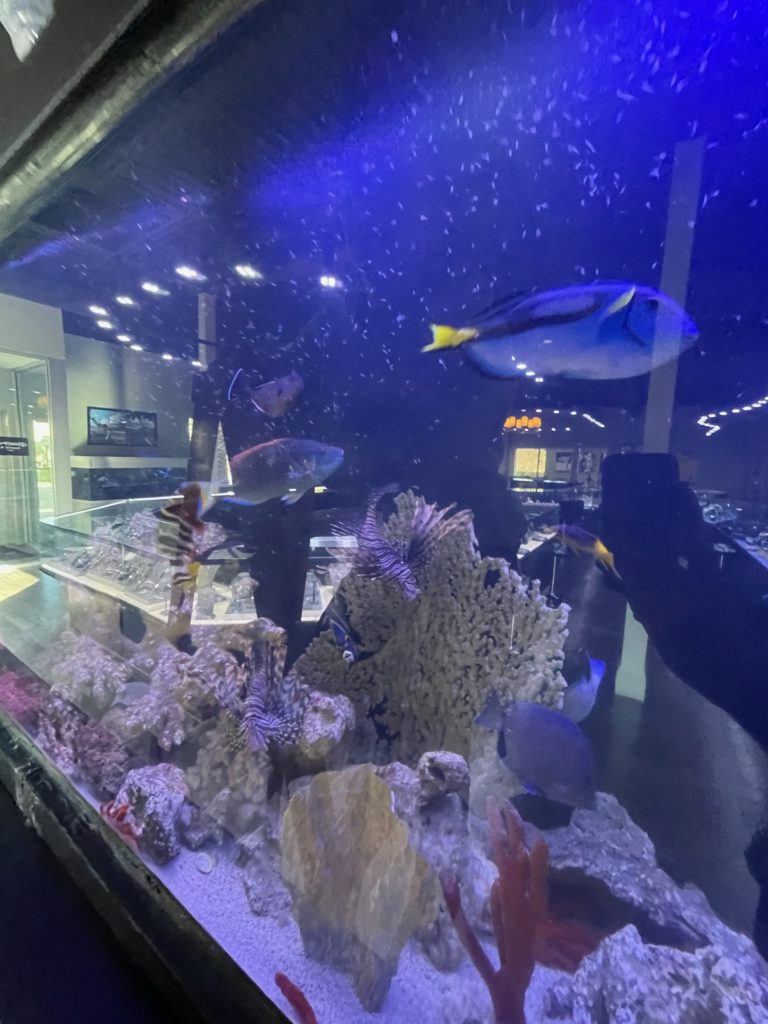How Boca Raton’s upcoming Aquarium is breaking the mold 