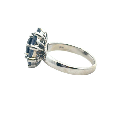 14k White Gold 4.8ctw Blue Sapphire Ring - Image 16