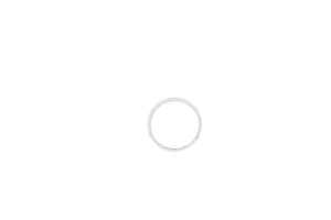 14k White Gold 0.20ctw Diamond Wedding Band